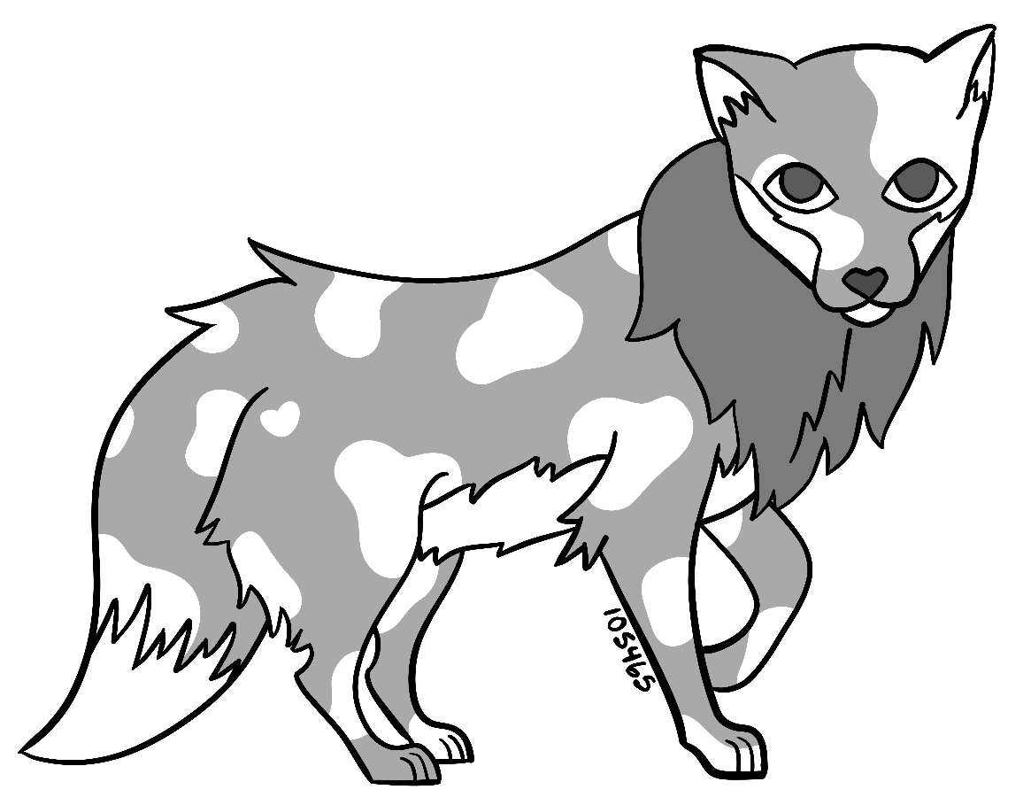 Piebald Mutation Example